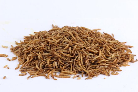 Sušený hmyz - Mouční červi 150 ml 